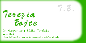 terezia bojte business card